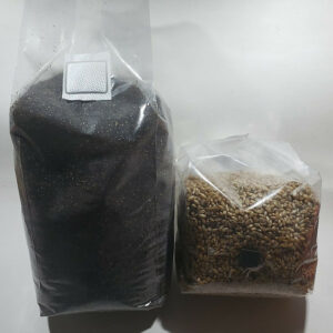Mushroom bagged grow kit with spores included